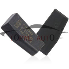 TP-chip-051