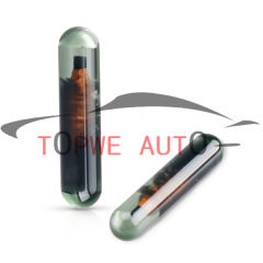 TP-chip-002