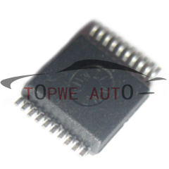 TP-chip-032