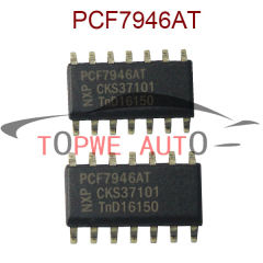 TP-chip-027