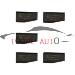 TP-chip-043