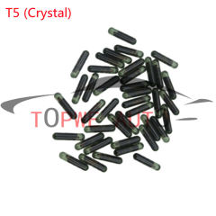 TP-chip-008