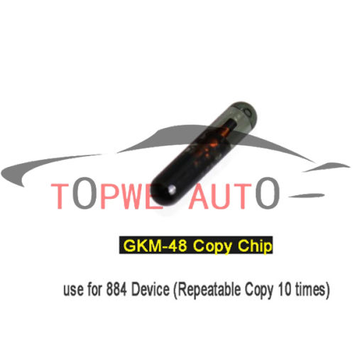 TP-chip-066