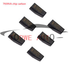 TP-chip-055