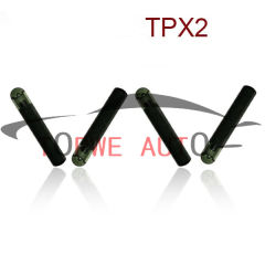 TP-chip-036