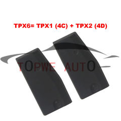 TP-chip-040