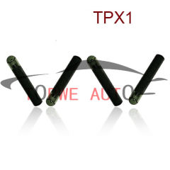 TP-chip-035
