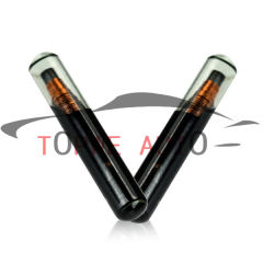 TP-chip-001B