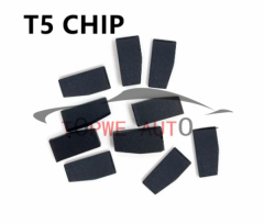 TP-chip-033