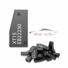 TP-chip-006C