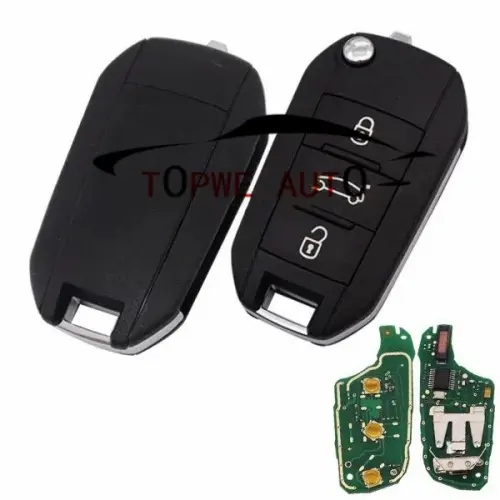 TPCIT-R24