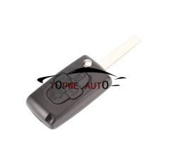 TPCIT-R10