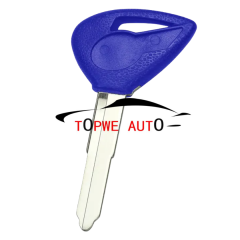Motor-TPYAM-B06C
