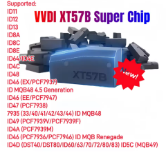 TP-chip-061C