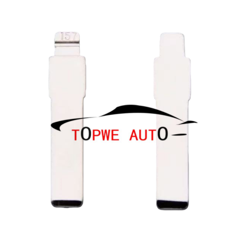 DIY/Xhorse remote 99#