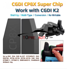 TP-chip-077