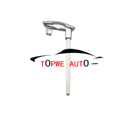 TpGeely-B03B