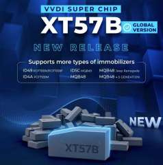 TP-chip-061C