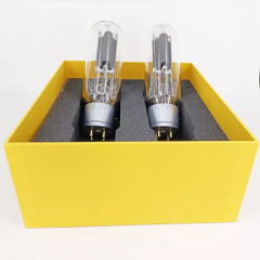 Psvane WE845 Replicated Version Vacuum Tubes 845