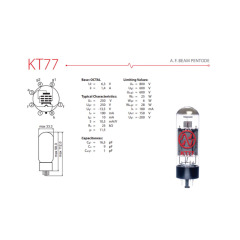 NEW Audio Valve Vacuum Slovakia JJ KT77 Replace EL34B 6CA7 tube amplifier