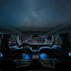 Lumière ambiante VOLVO XC60