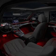 Audi A4 Ambient Light