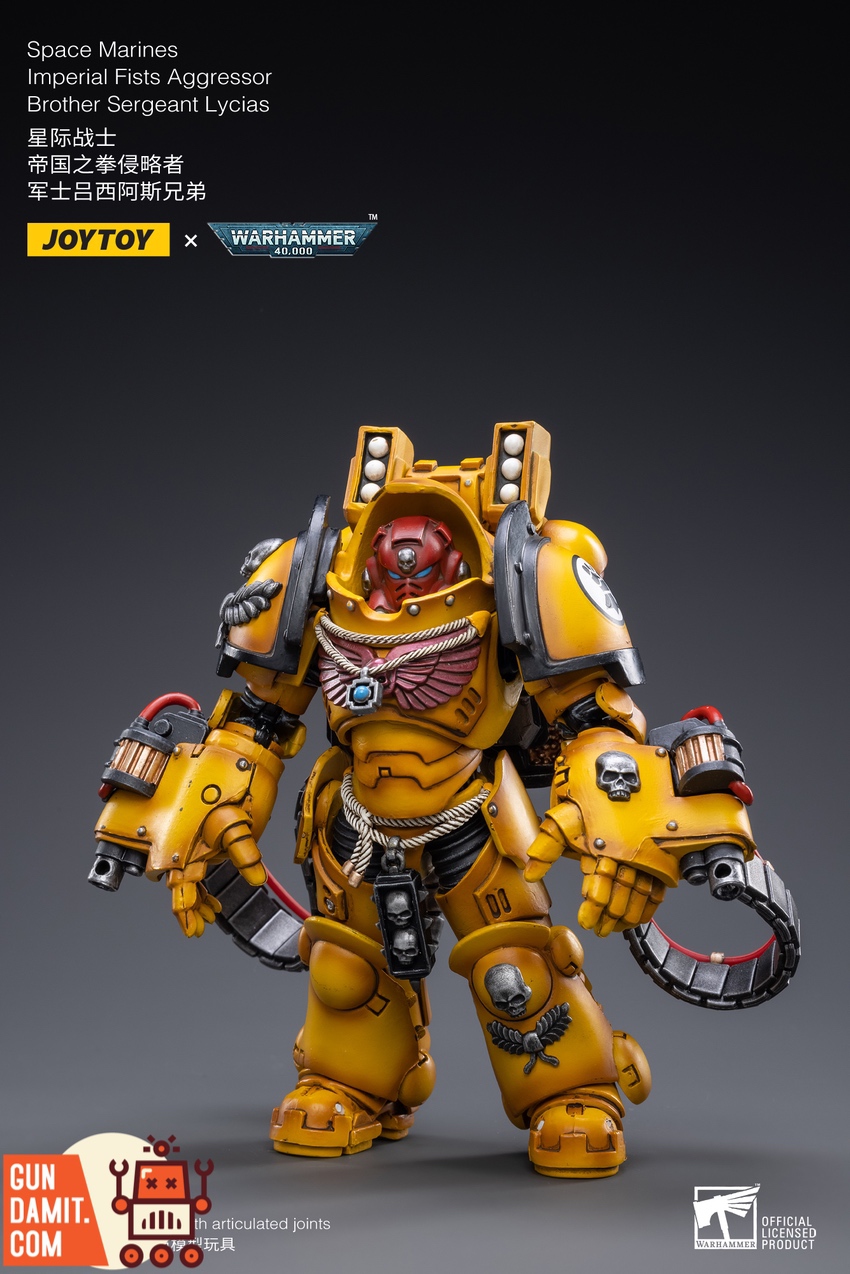 JoyToy WH40K Imperial Fists Lycias rear view showing backpack detail JoyToy WH40K Imperial Fists Lycias rear view showing backpack detail