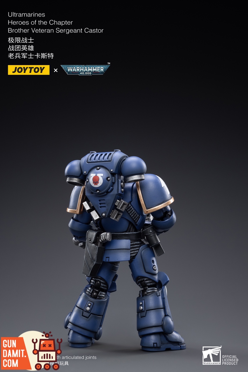 JoyToy JT2474 Castor profile view JoyToy JT2474 Castor profile view