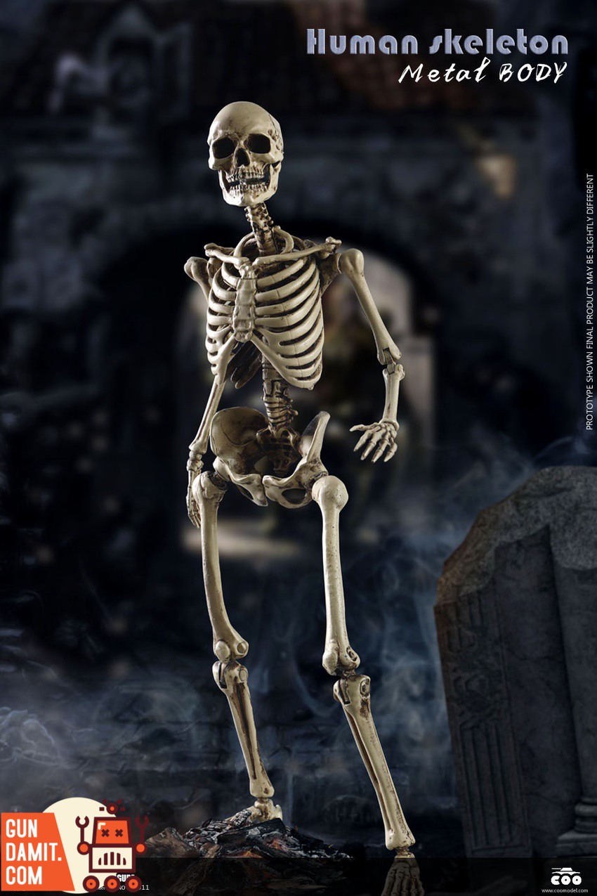 COOMODEL BS011 Human Skeleton metal body figure atmospheric graveyard scene pose COOMODEL BS011 Human Skeleton metal body figure atmospheric graveyard scene pose