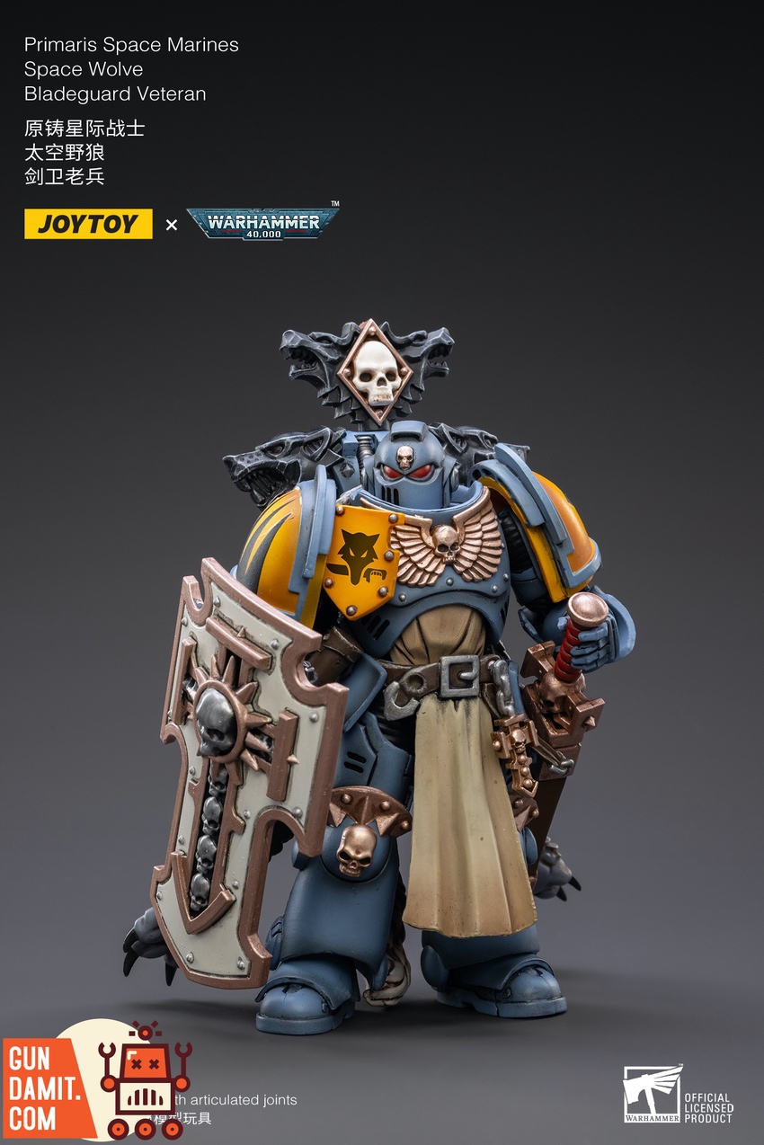 JoyToy Space Wolves Bladeguard Veteran front view with sword sheathed and wolf head details JoyToy Space Wolves Bladeguard Veteran front view with sword sheathed and wolf head details