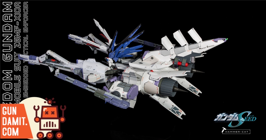 Hammer Cat resin METEOR with MG Freedom rear thruster view Hammer Cat resin METEOR with MG Freedom rear thruster view