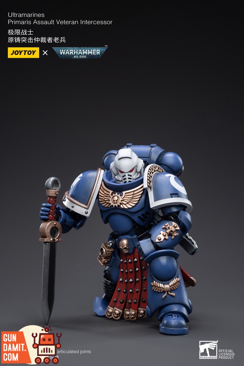 JoyToy 1/18 Ultramarines Assault Veteran Intercessor rear armor detail view JoyToy 1/18 Ultramarines Assault Veteran Intercessor rear armor detail view