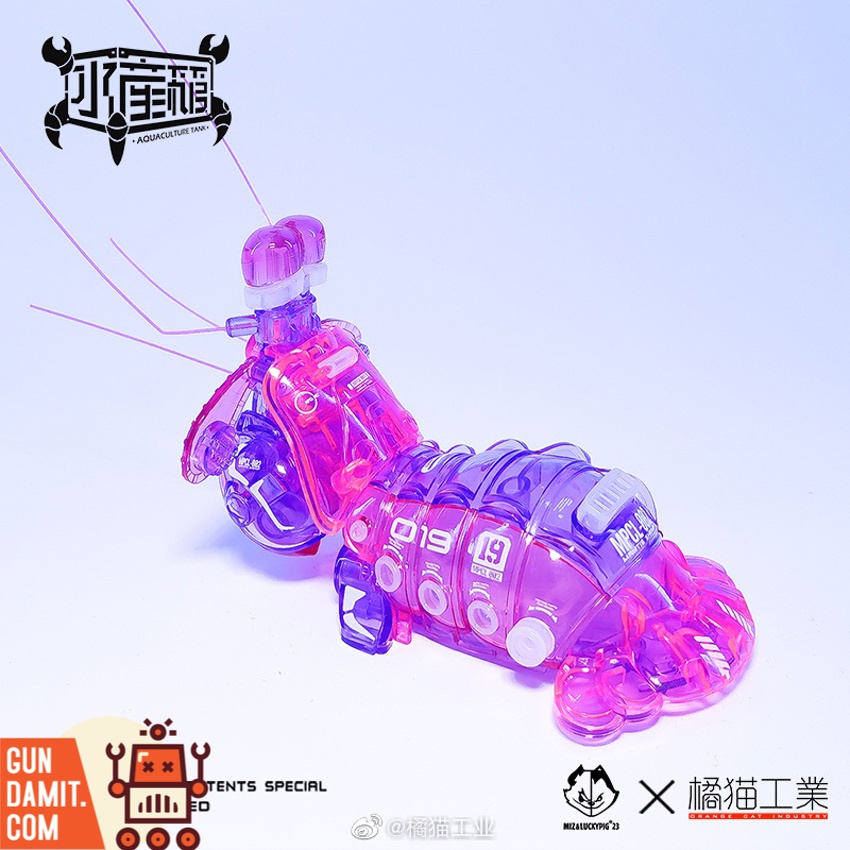 Pink Mantis Shrimp model kit close-up on translucent body details Pink Mantis Shrimp model kit close-up on translucent body details