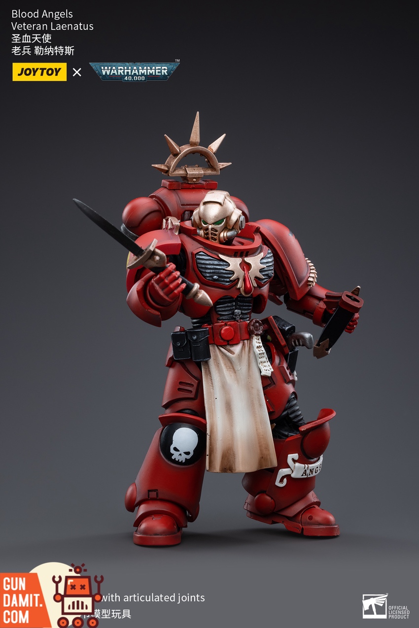 Blood Angels Veteran Laenatus rear view showing backpack and markings Blood Angels Veteran Laenatus rear view showing backpack and markings