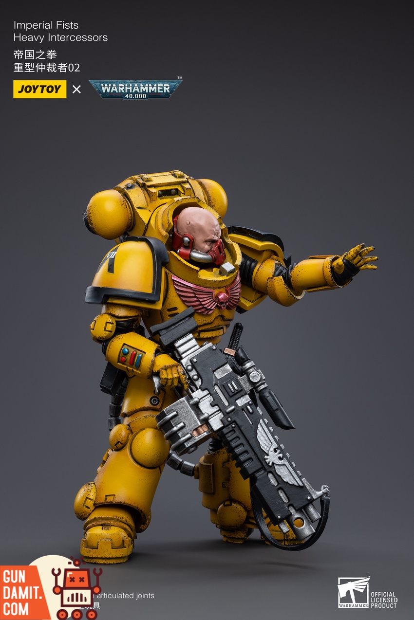 Imperial Fists Heavy Intercessor 02 rear view showing backpack and markings Imperial Fists Heavy Intercessor 02 rear view showing backpack and markings