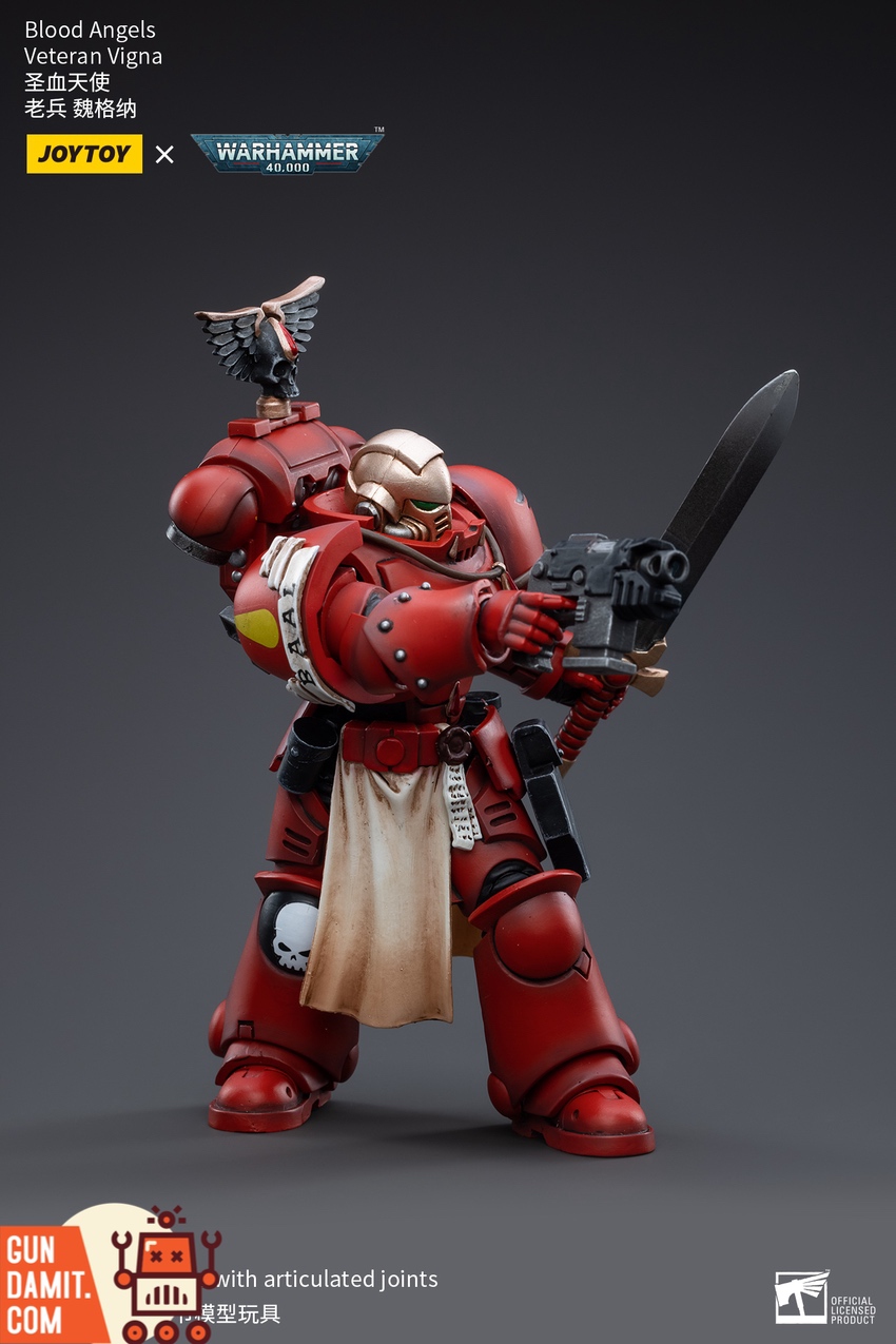 JoyToy Blood Angels Vigna accessories and weapon display JoyToy Blood Angels Vigna accessories and weapon display