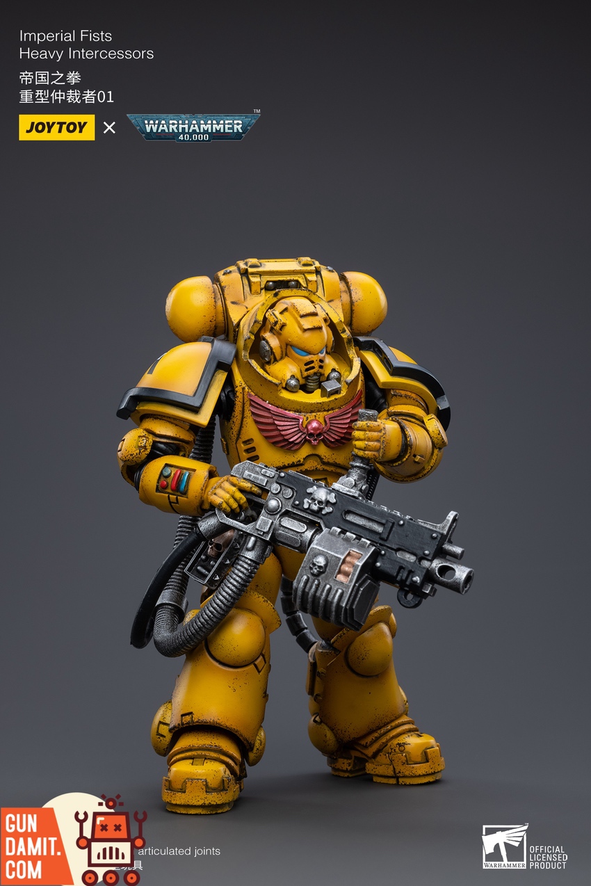 Imperial Fists Heavy Intercessor rear view with backpack and chapter markings Imperial Fists Heavy Intercessor rear view with backpack and chapter markings