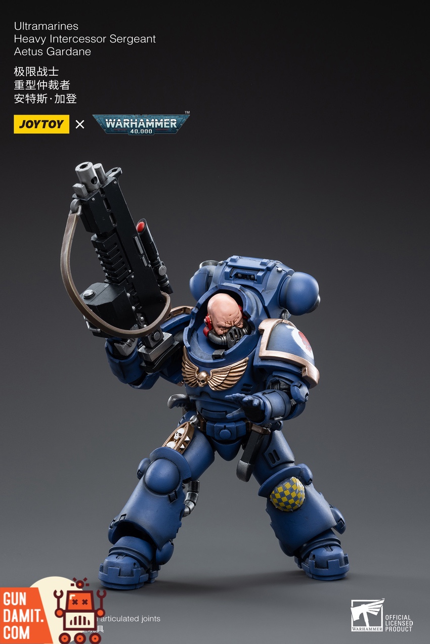Heavy Intercessor Sergeant Gardane weapon and purity seals Heavy Intercessor Sergeant Gardane weapon and purity seals