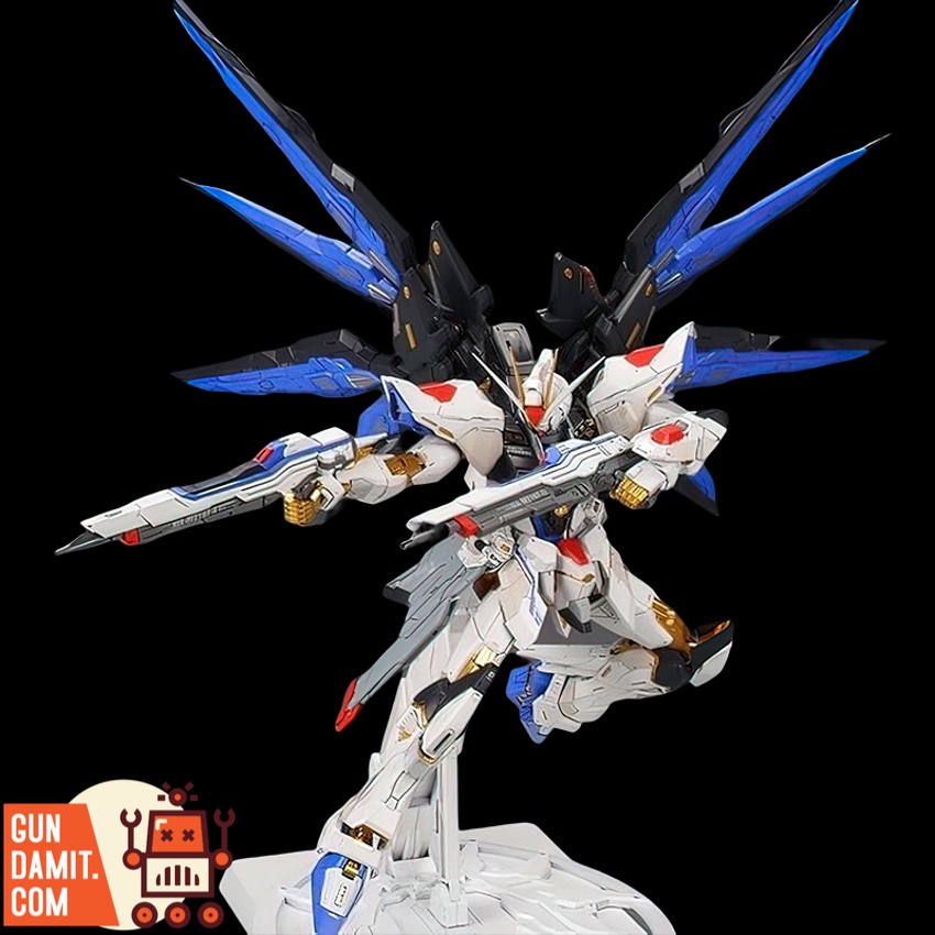 Daban 8802 Strike Freedom close-up showing gold inner frame and panel detail Daban 8802 Strike Freedom close-up showing gold inner frame and panel detail