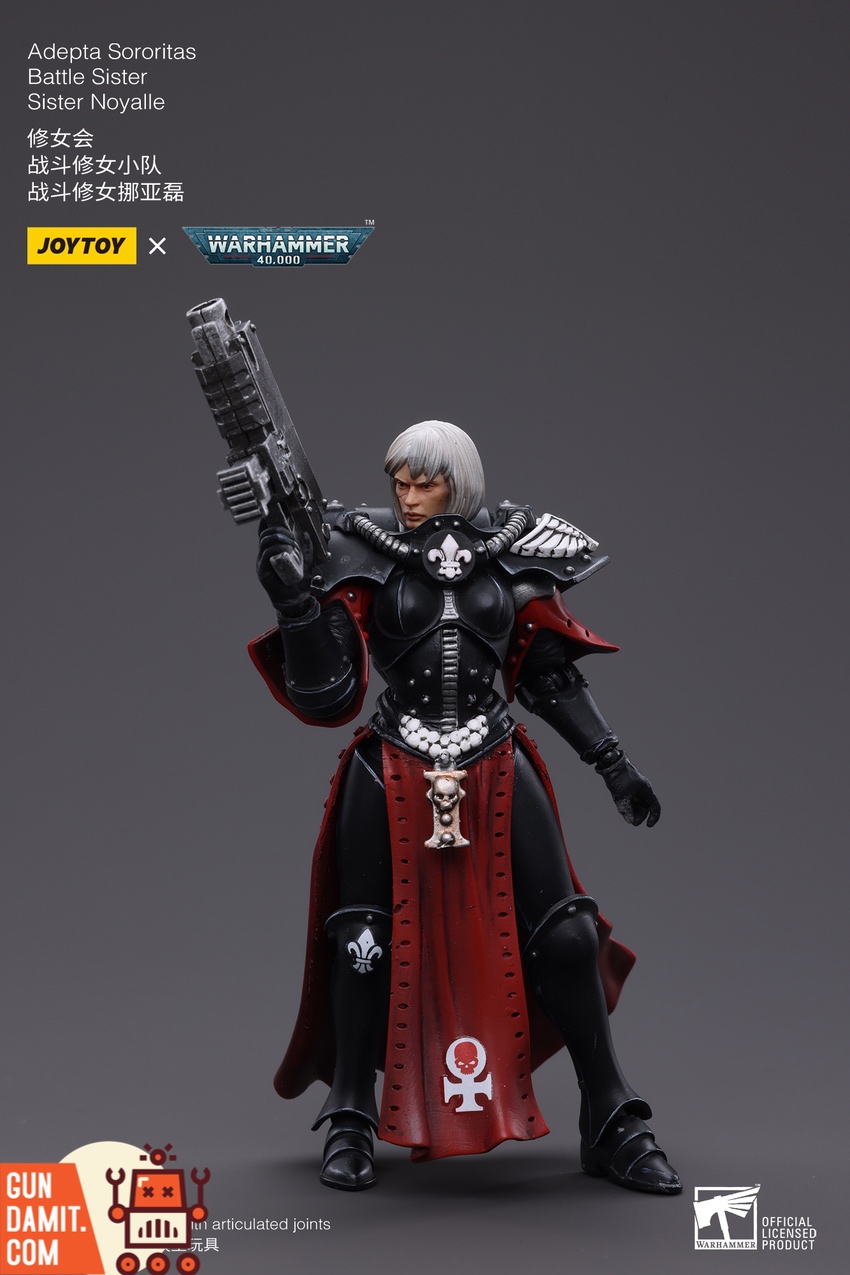 JoyToy Battle Sister Noyalle close-up showing silver hair and armor detail JoyToy Battle Sister Noyalle close-up showing silver hair and armor detail