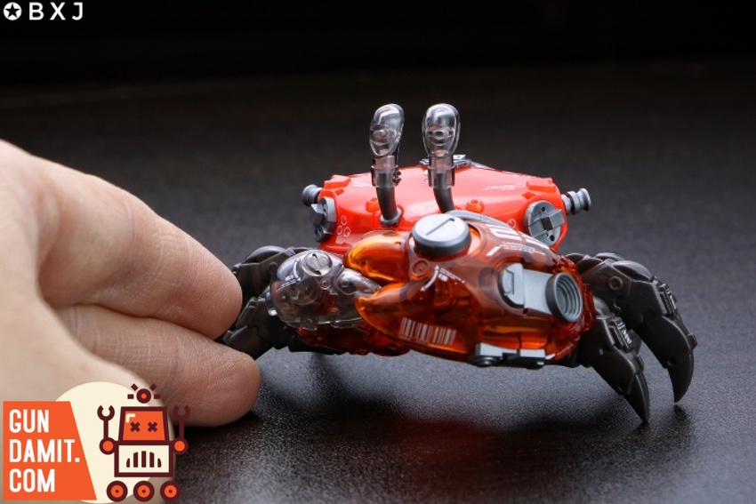 Size comparison of red fiddler crab model held in hand Size comparison of red fiddler crab model held in hand