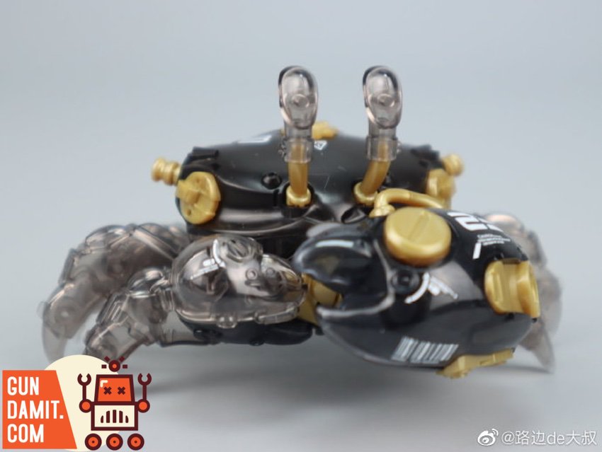 Orange Cat Industry 007 Fiddler Crab black gold version front view with translucent parts Orange Cat Industry 007 Fiddler Crab black gold version front view with translucent parts