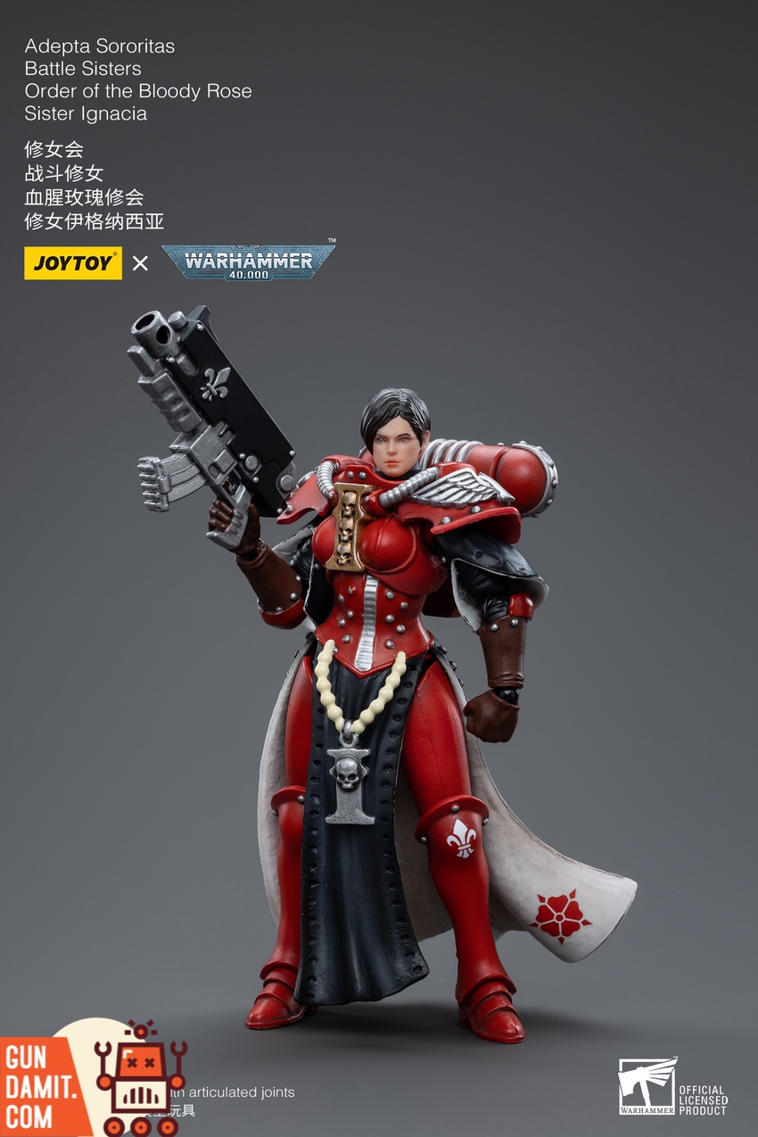 Ignacia Bloody Rose full accessories layout with weapons and hands Ignacia Bloody Rose full accessories layout with weapons and hands