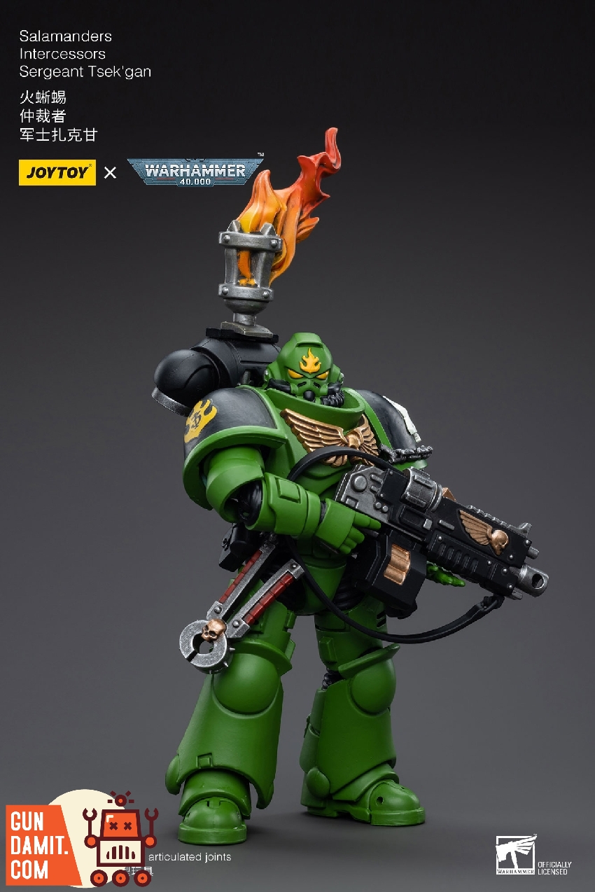 Three-quarter view of Salamanders Sergeant Tsek'gan in green armor carrying bolt rifle with flame effect brazier Three-quarter view of Salamanders Sergeant Tsek'gan in green armor carrying bolt rifle with flame effect brazier