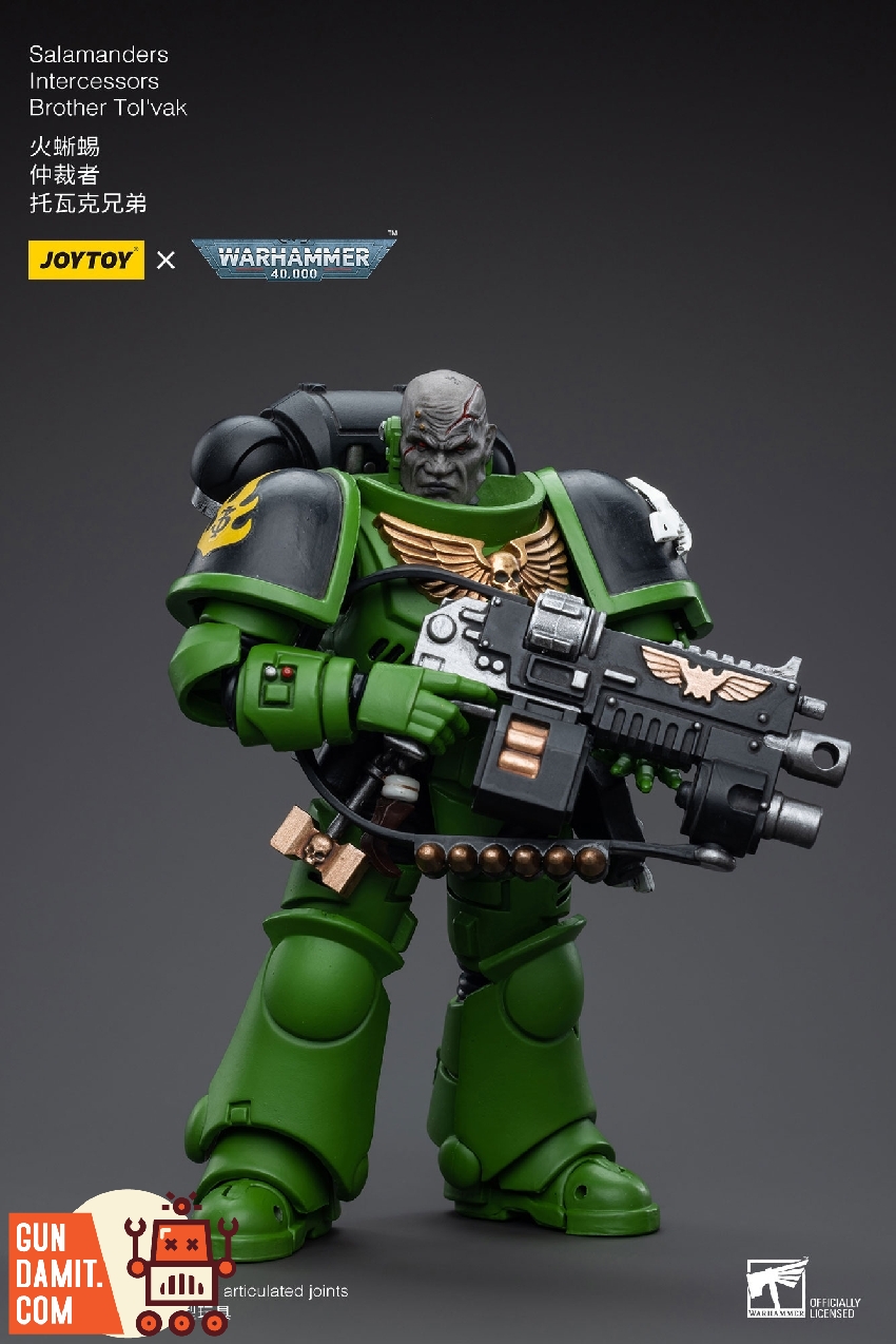 Brother Tol'vak standing with exposed head holding bolt rifle showing gold Aquila chest insignia Brother Tol'vak standing with exposed head holding bolt rifle showing gold Aquila chest insignia