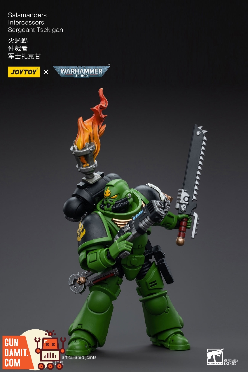 Sergeant Tsek'gan in dynamic combat pose wielding chainsword and bolt pistol with flaming brazier overhead Sergeant Tsek'gan in dynamic combat pose wielding chainsword and bolt pistol with flaming brazier overhead