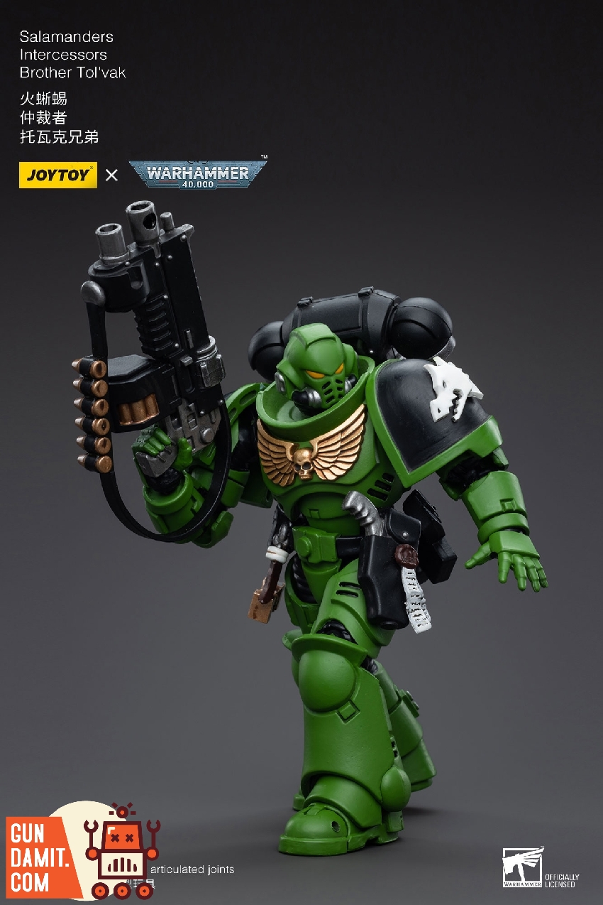 Brother Tol'vak in helmeted combat stance raising bolt pistol with Salamanders flame emblem on shoulder Brother Tol'vak in helmeted combat stance raising bolt pistol with Salamanders flame emblem on shoulder