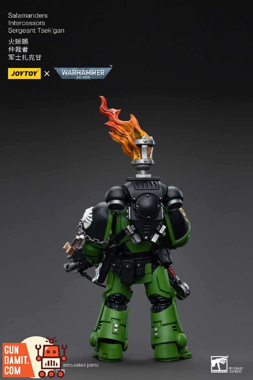 JoyToy 1/18 Warhammer 40K Salamanders Sergeant Tsek'gan rear view showing green armor and flaming brazier backpack JoyToy 1/18 Warhammer 40K Salamanders Sergeant Tsek'gan rear view showing green armor and flaming brazier backpack