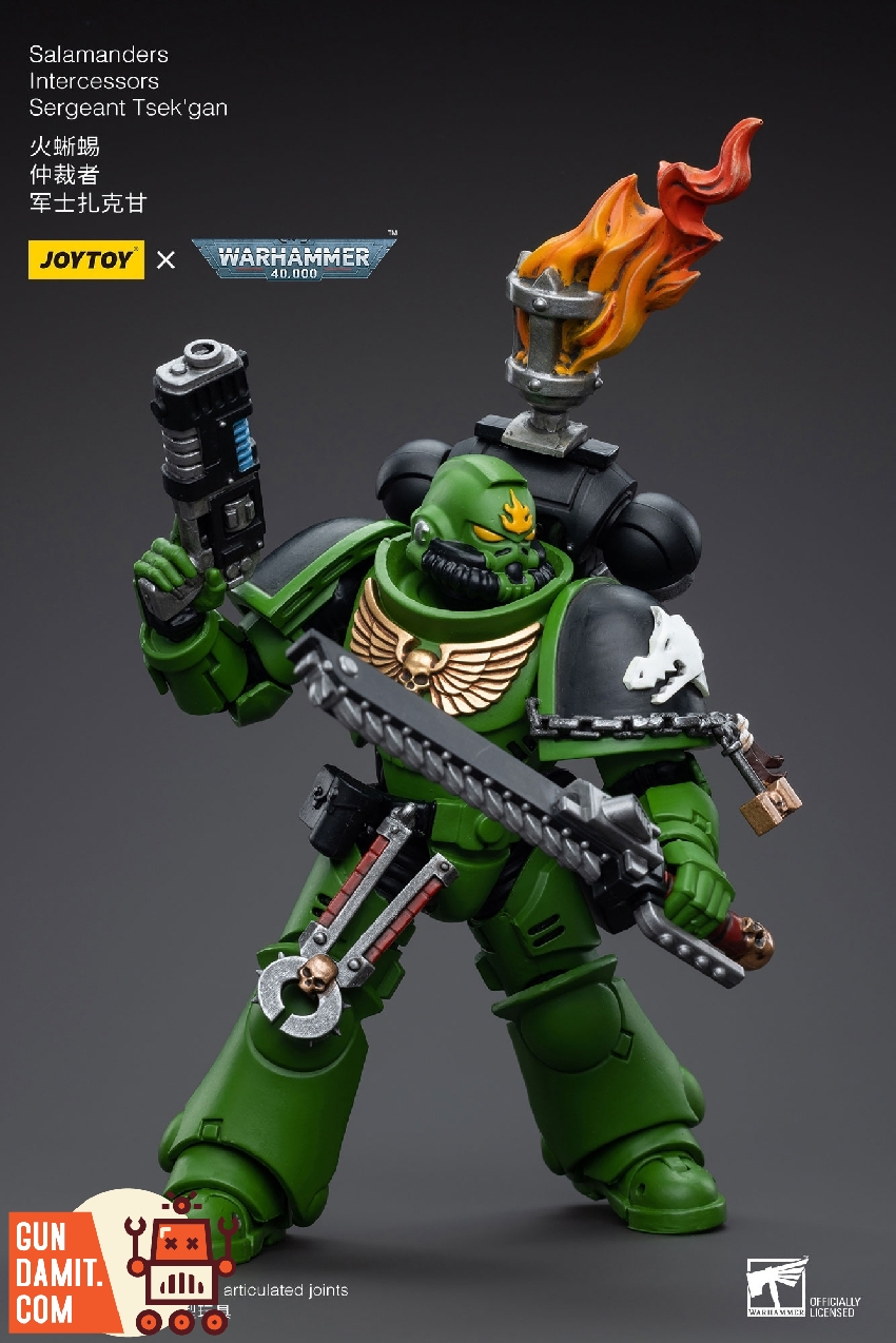 Sergeant Tsek'gan in action pose raising bolt pistol and holding chainsword with burning brazier above Sergeant Tsek'gan in action pose raising bolt pistol and holding chainsword with burning brazier above