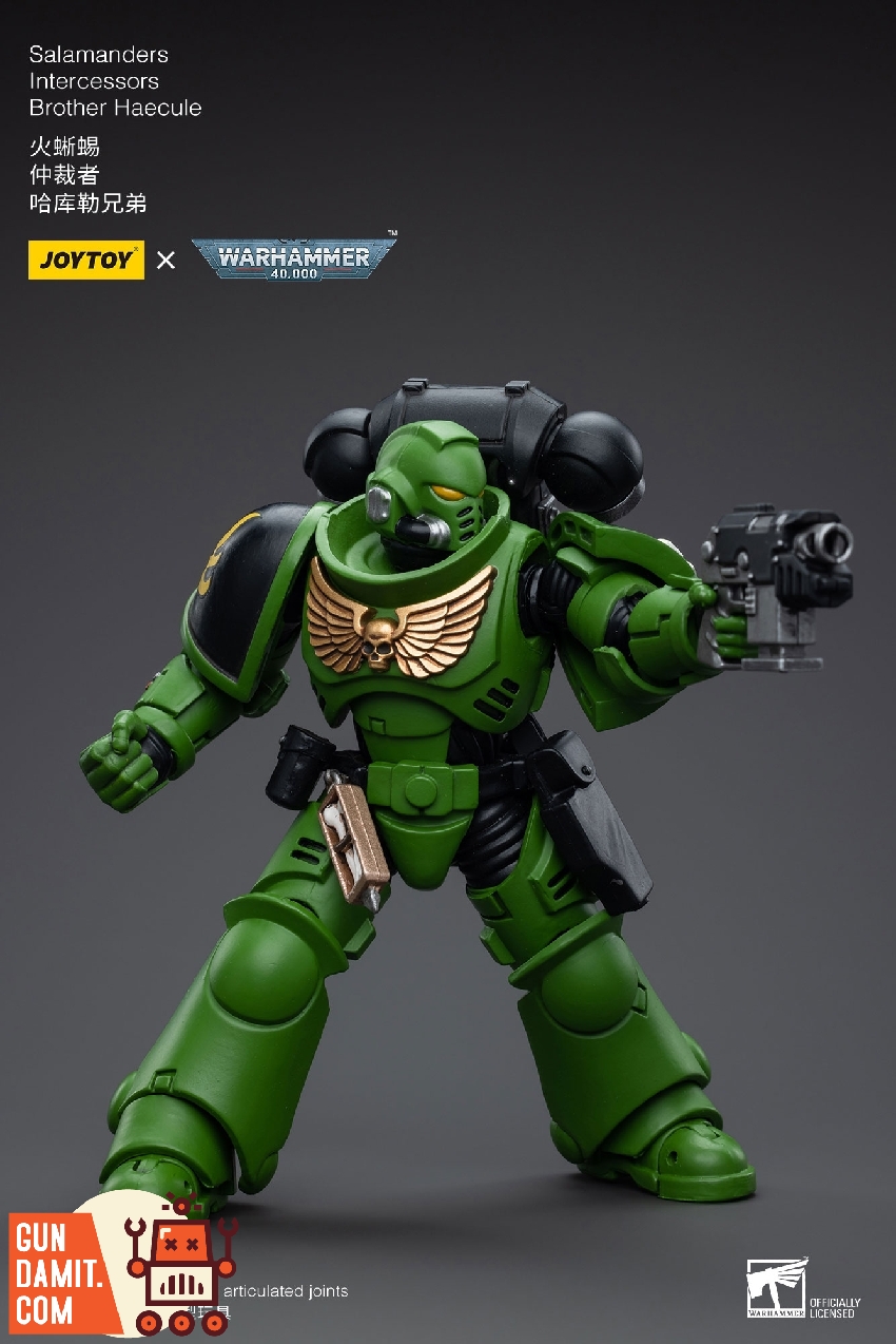 1/18 Salamanders Intercessors Brother Haecule full figure display 1/18 Salamanders Intercessors Brother Haecule full figure display